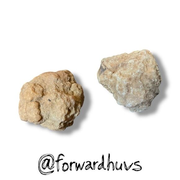 (2) 2”  Raw Tennessee Creek Geode - Break them Yourself - Picture 5 of 7